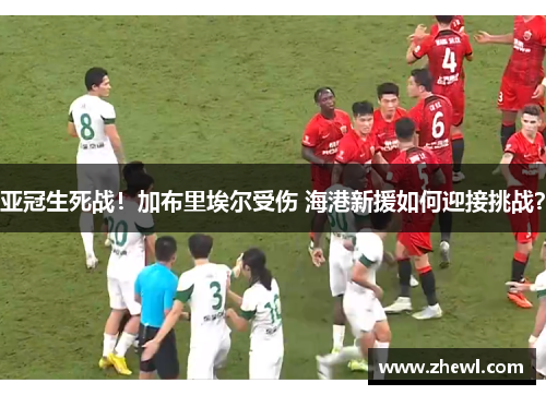 亚冠生死战！加布里埃尔受伤 海港新援如何迎接挑战？